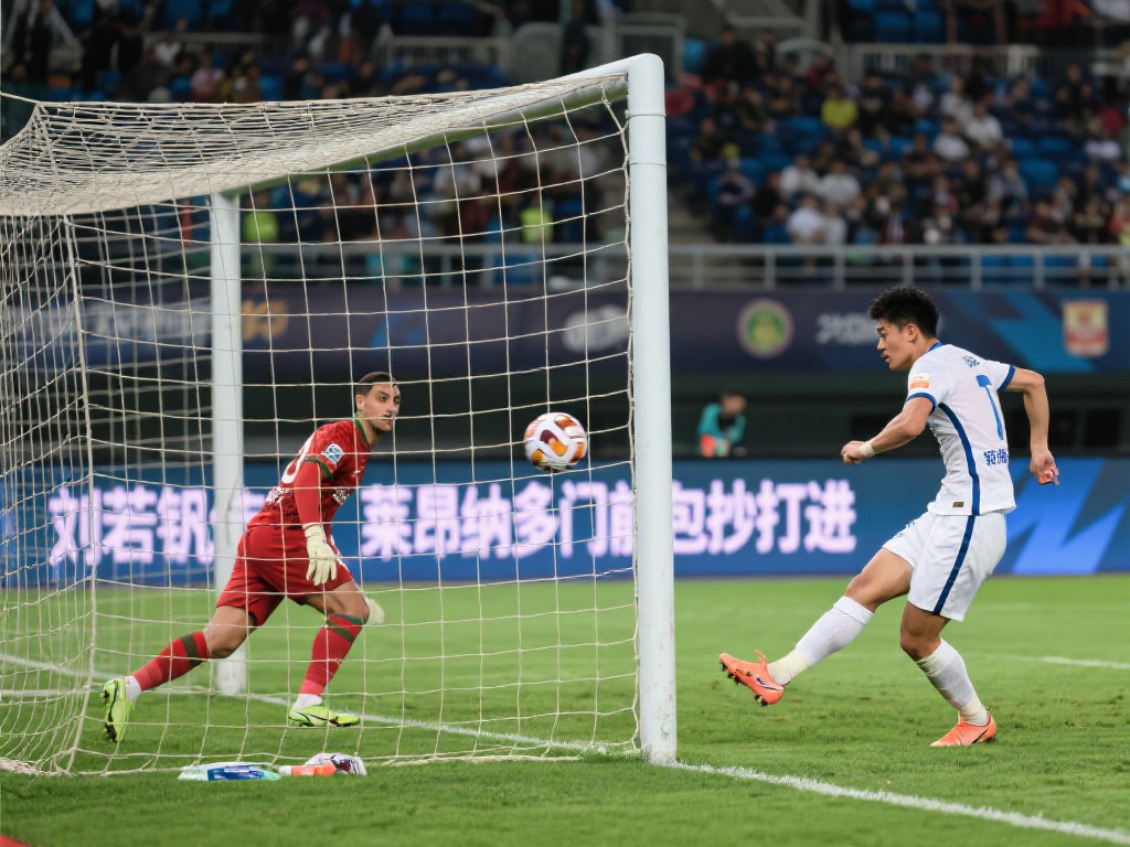 提供一个清 提供一个清